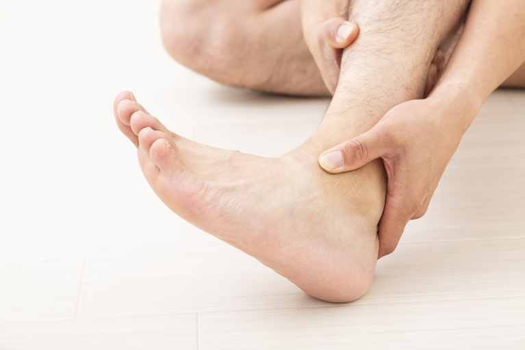 スポーツや日常動作を支えるアキレス腱