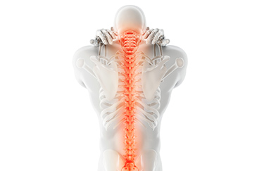 脊椎・脊髄外来(せぼね外来)